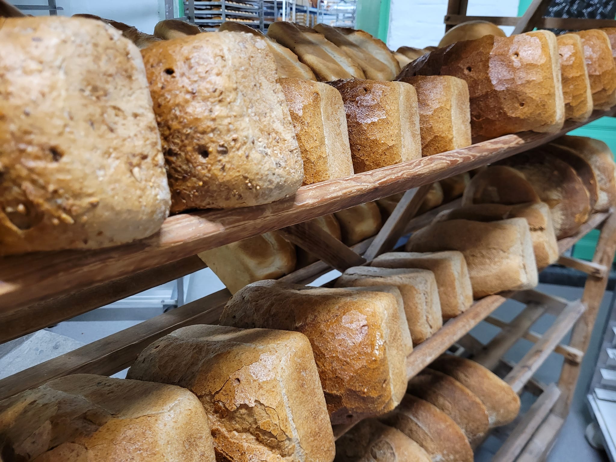 La mie d'enfance - Photo 3